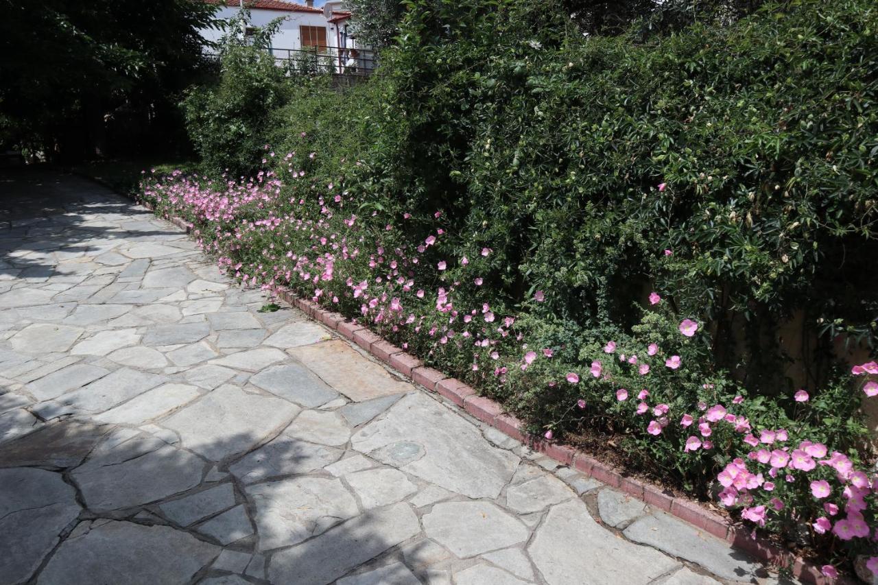 Angela House בית נופש Agios Andreas (East Macedonia)
