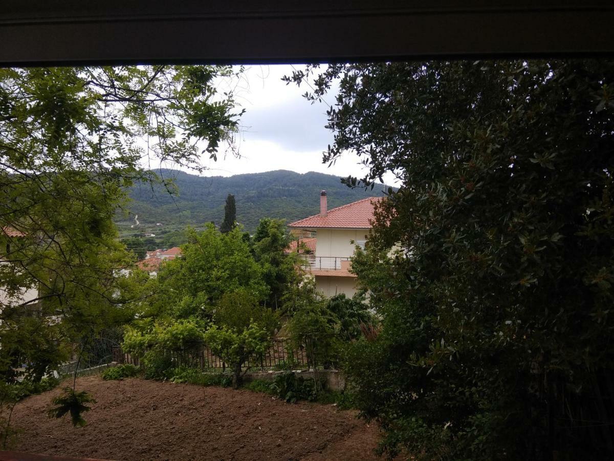 בית נופש Angela House Agios Andreas (East Macedonia)